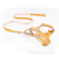 Corde de traction de chien neuve